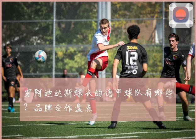 穿阿迪达斯球衣的德甲球队有哪些？品牌合作盘点