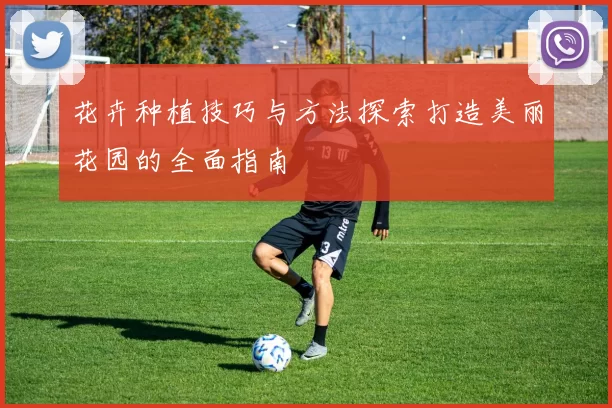 花卉种植技巧与方法探索打造美丽花园的全面指南