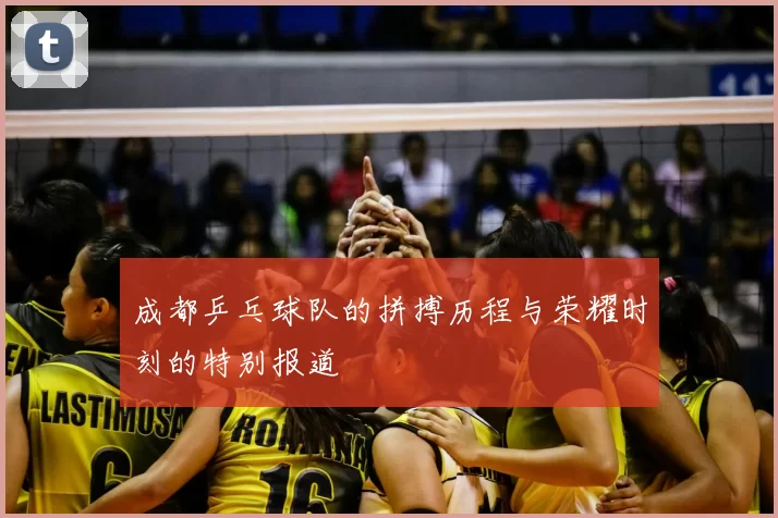 成都乒乓球队的拼搏历程与荣耀时刻的特别报道