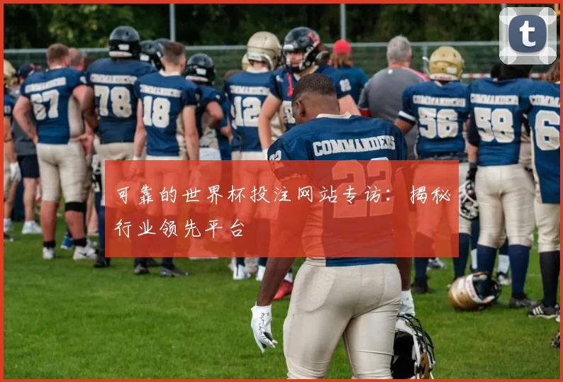 可靠的世界杯投注网站专访:揭秘行业领先平台