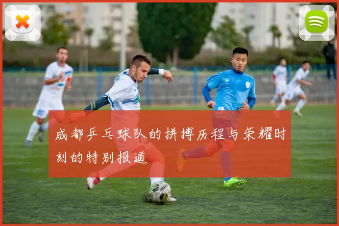 成都乒乓球队的拼搏历程与荣耀时刻的特别报道