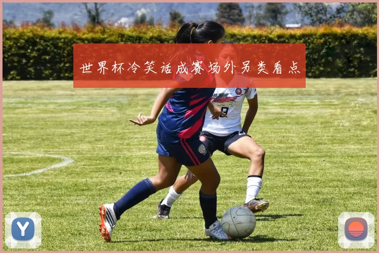 世界杯冷笑话成赛场外另类看点