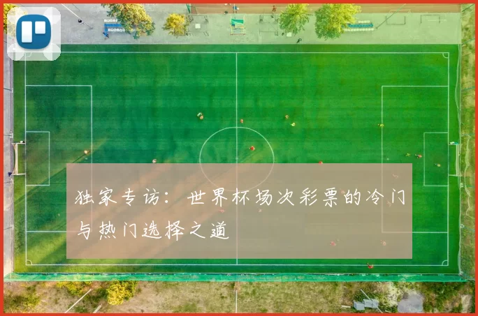 独家专访：世界杯场次彩票的冷门与热门选择之道