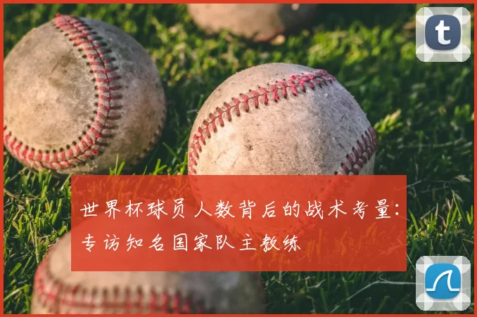 世界杯球员人数背后的战术考量：专访知名国家队主教练