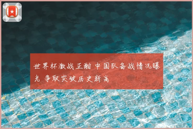 世界杯激战正酣 中国队备战情况曝光 争取突破历史新高