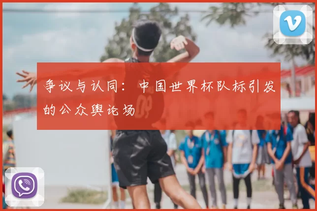 争议与认同:中国世界杯队标引发的公众舆论场