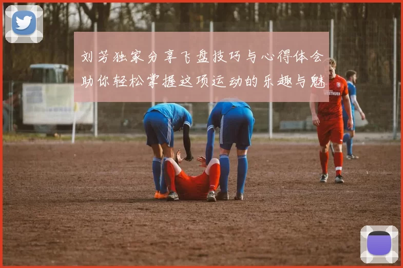 刘芳独家分享飞盘技巧与心得体会助你轻松掌握这项运动的乐趣与魅力