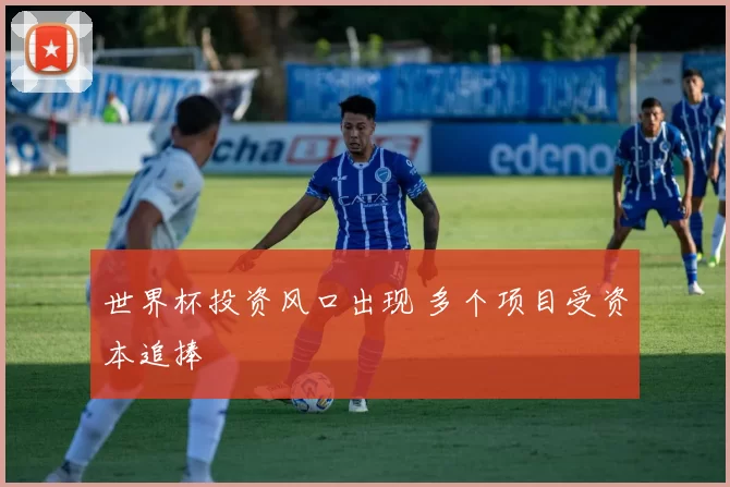 世界杯投资风口出现 多个项目受资本追捧