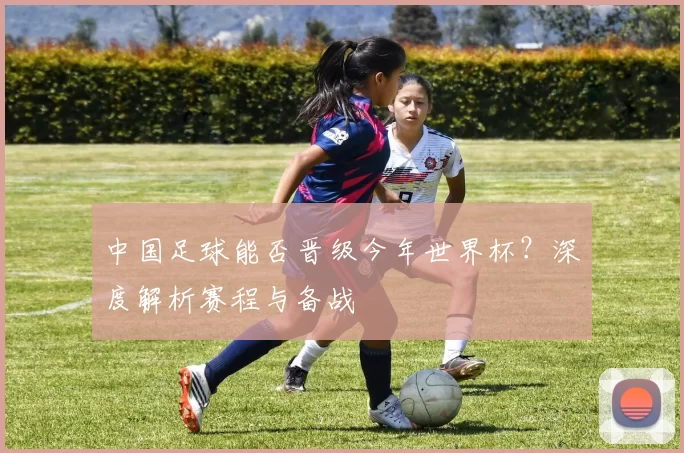 中国足球能否晋级今年世界杯?深度解析赛程与备战