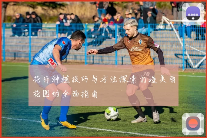 花卉种植技巧与方法探索打造美丽花园的全面指南