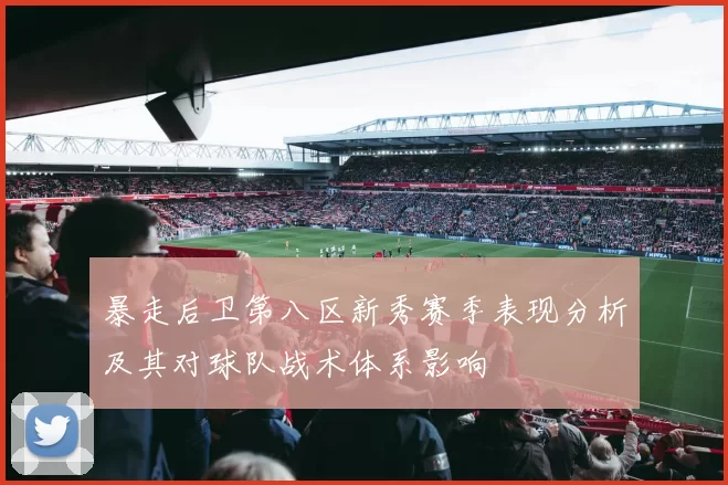 暴走后卫第八区新秀赛季表现分析及其对球队战术体系影响