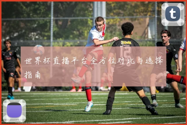 世界杯直播平台全方位对比与选择指南
