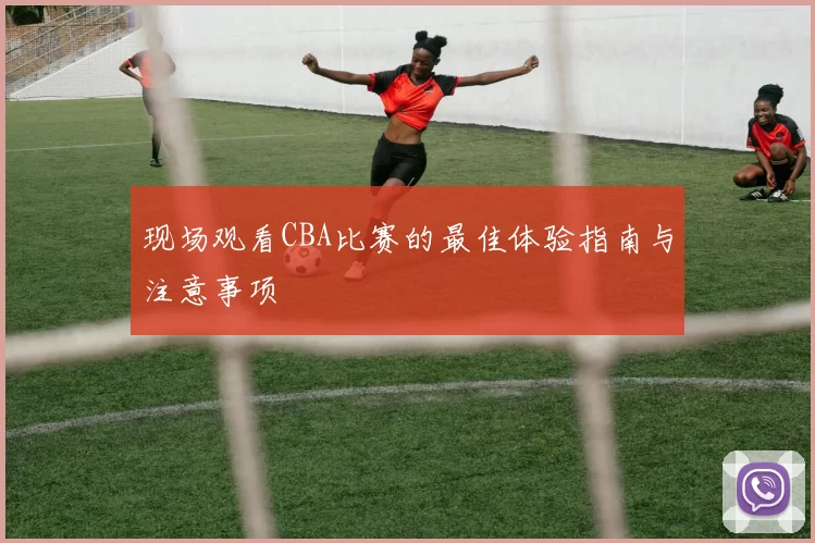 现场观看CBA比赛的最佳体验指南与注意事项