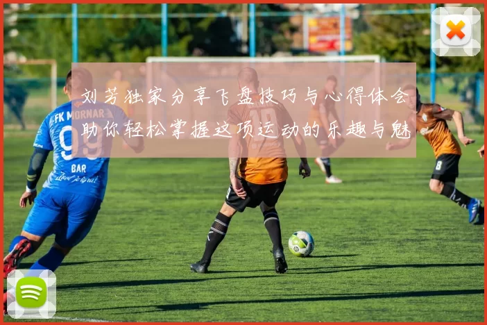 刘芳独家分享飞盘技巧与心得体会助你轻松掌握这项运动的乐趣与魅力