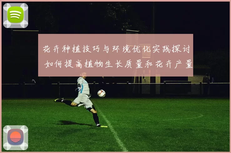 花卉种植技巧与环境优化实践探讨 如何提高植物生长质量和花卉产量
