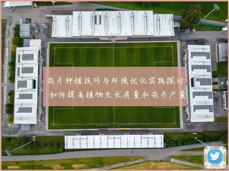 花卉种植技巧与环境优化实践探讨 如何提高植物生长质量和花卉产量