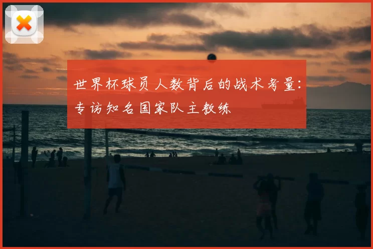 世界杯球员人数背后的战术考量：专访知名国家队主教练