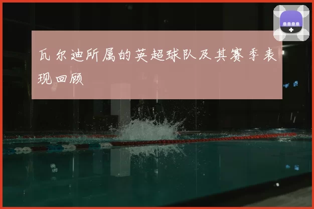 瓦尔迪所属的英超球队及其赛季表现回顾